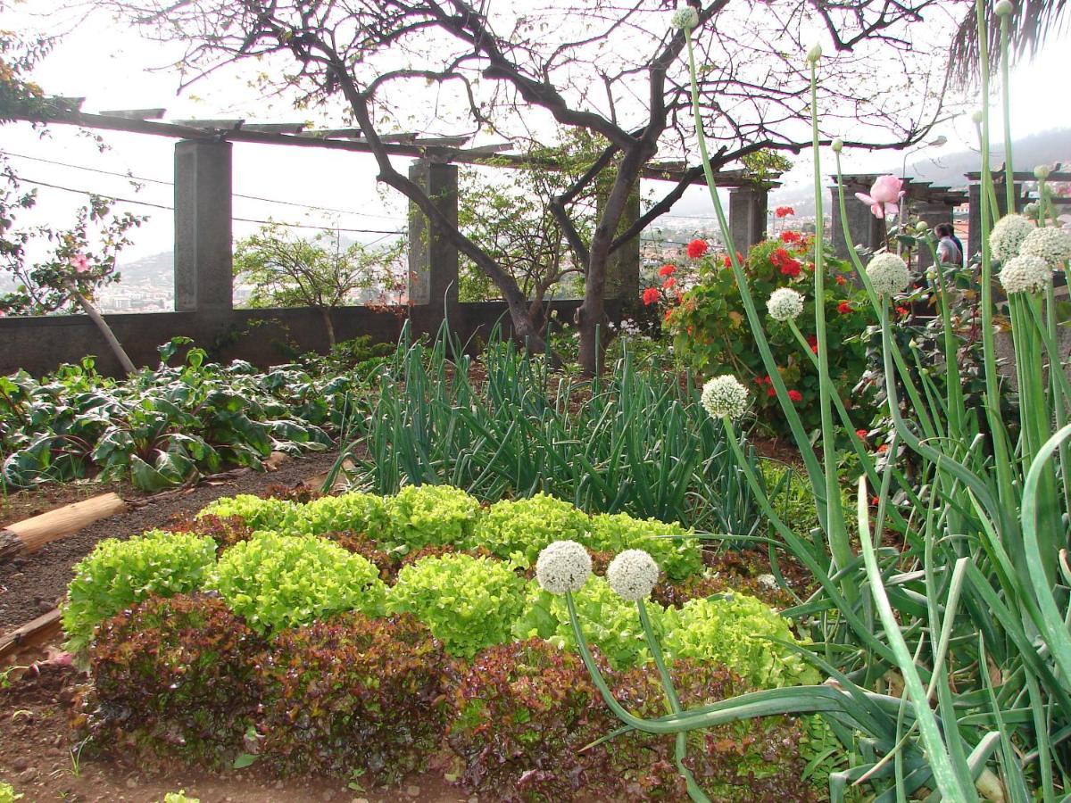Quinta Do Bom Sucesso * Funchal (Madeira)