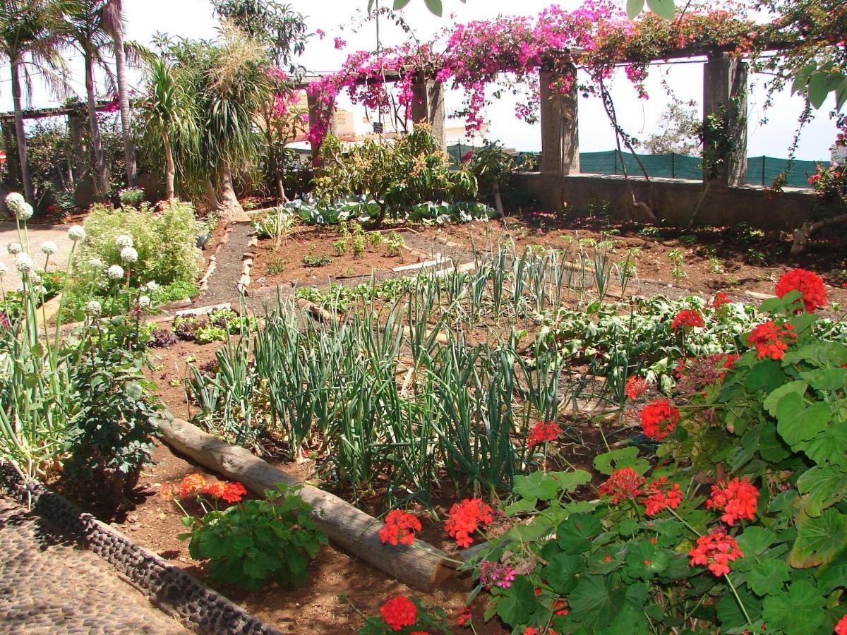 Apartamento Quinta Do Bom Sucesso Funchal (Madeira)