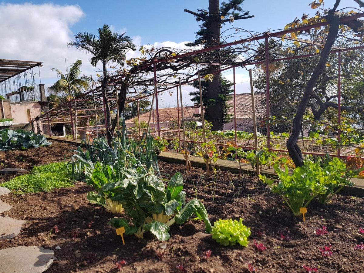 Quinta Do Bom Sucesso Apartamento *