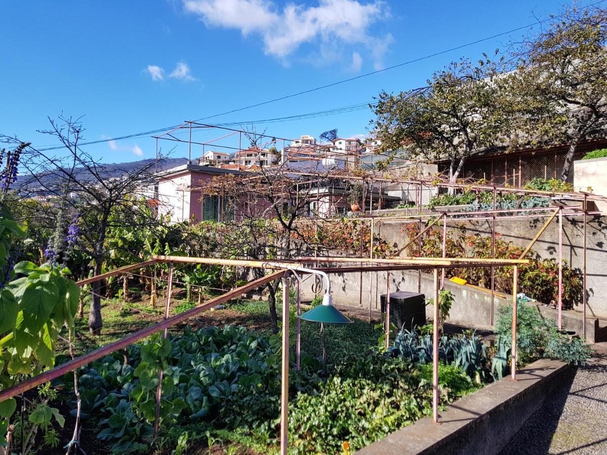 Quinta Do Bom Sucesso Apartamento *