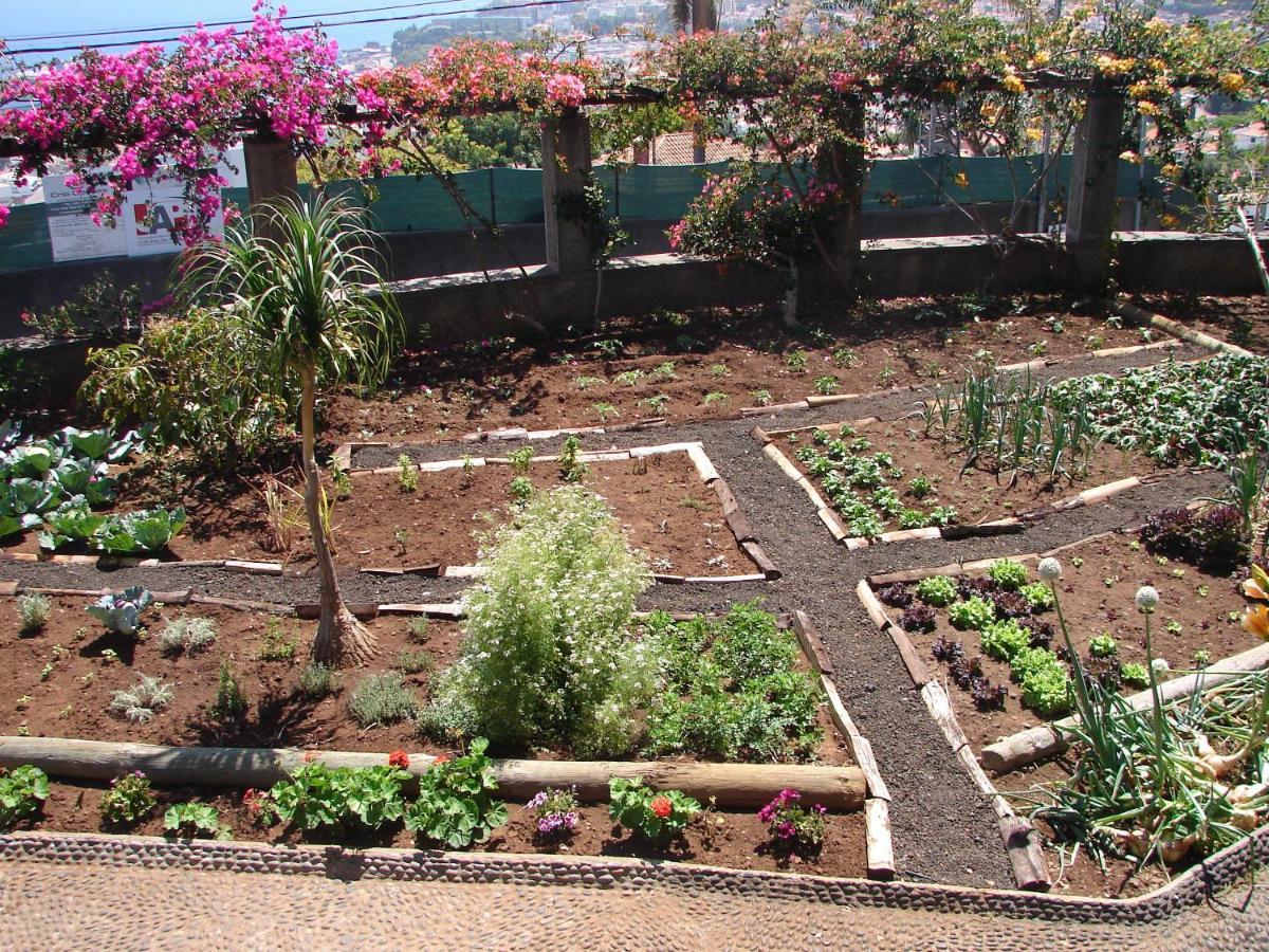 Quinta Do Bom Sucesso * Funchal (Madeira)